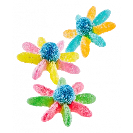 Trolli baby sour octopus 1KG